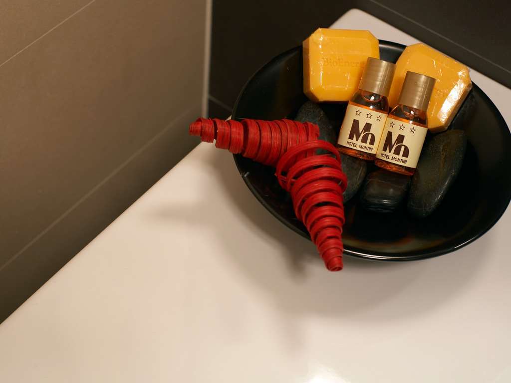 Hotel Montini Linate Airport Peschiera Borromeo Facilities photo